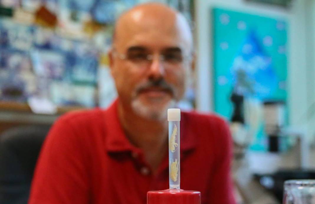 Dünyada ilk kez: Yeni sualtı canlısı türü, Türkiye'nin en derin üçüncü mağarasında keşfedildi! Türk bilim insanlarının başarısı 4